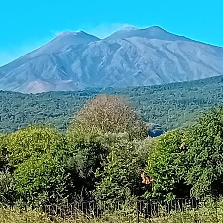 Casa Piedimonte Mare Etna Villa Fiumefreddo di Sicilia Kültér fotó
