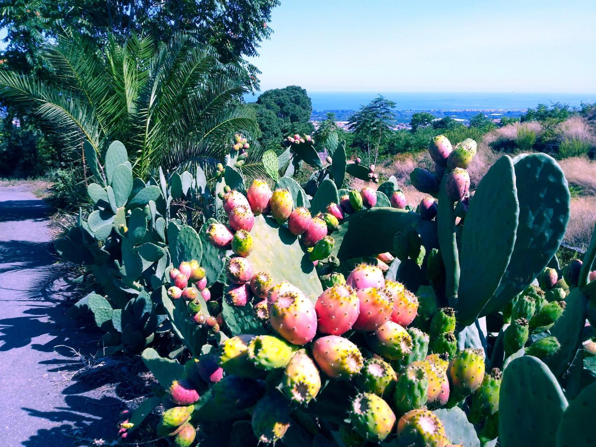 Casa Piedimonte Mare Etna Villa Fiumefreddo di Sicilia Kültér fotó