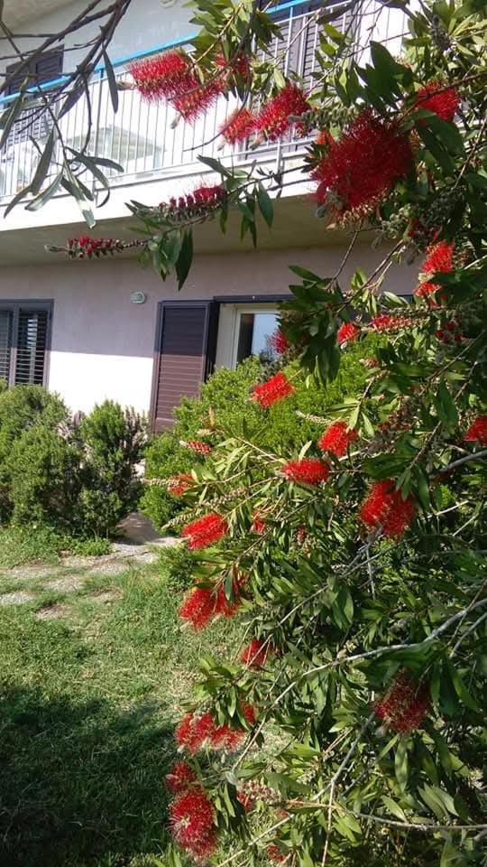 Casa Piedimonte Mare Etna Villa Fiumefreddo di Sicilia Kültér fotó